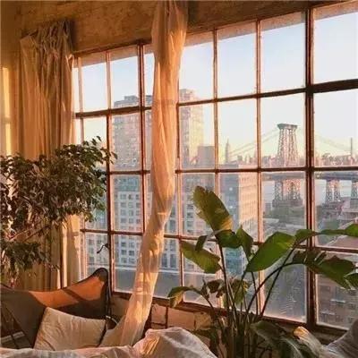 半岛综合娱乐app手机app下载截图